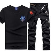 Черный 605+8010 (два -набор) набор)