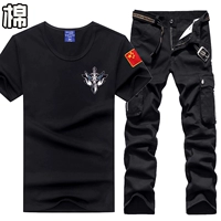 Черный 607+8010 (два набора)