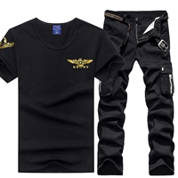 Черный 675+8010 (два набора)