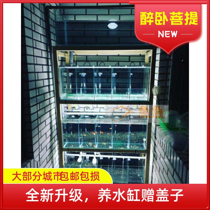 Custom Peacock Fish System Cylinder Propagation Group Vat Most City Bag Loss Custom Products