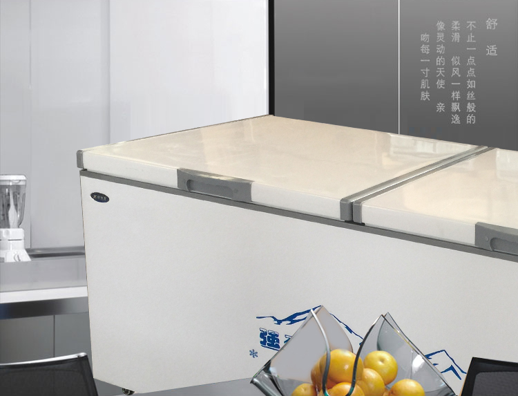 Xinying tuyết 1088 tủ đông thương mại dung tích lớn bể nước lạnh đông lạnh thử nghiệm tủ lạnh tủ đông lớn đơn đôi nhiệt độ tủ tủ lạnh trữ sữa