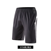 5750 черно -белый