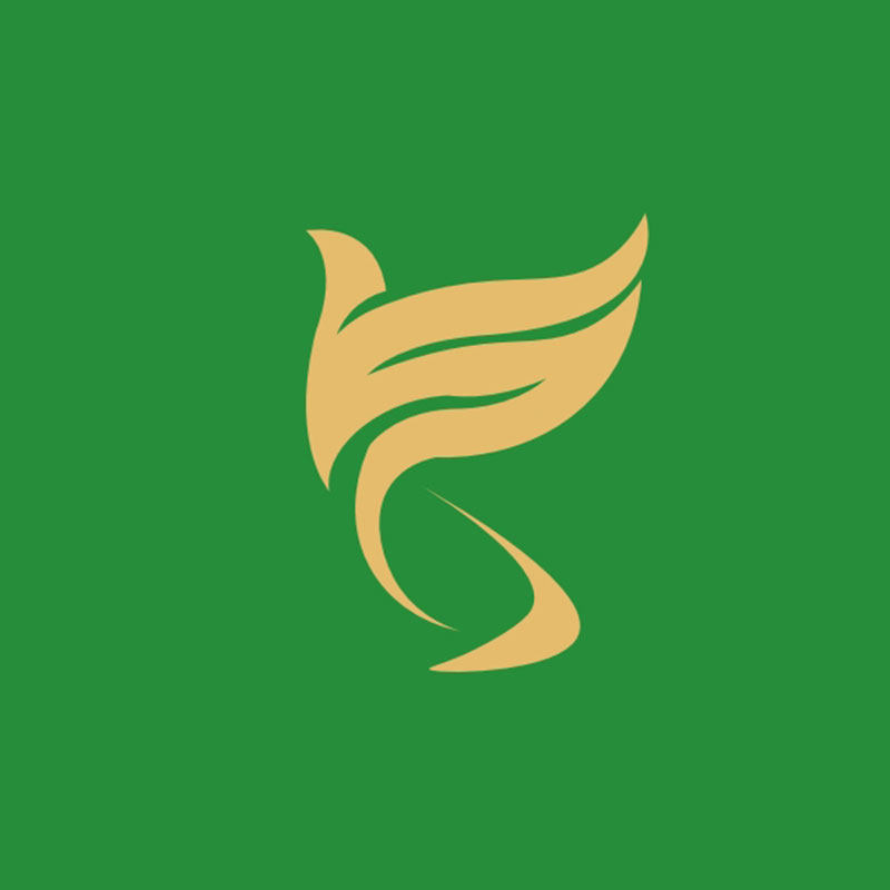 晓莺国选的LOGO