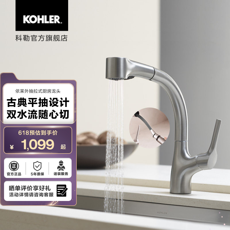 Kohler Pull-Out Faucet Kitchen Faucet Pull-Out Faucet 13963t