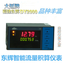 Fuzhou East Hui Smart Flow Calculation Instrument DY21J06P DY29JO6P DY21J16P DY29J16P