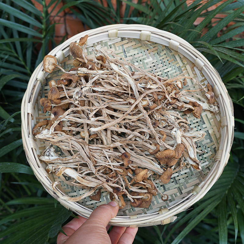 The small sensitizer preferably the farmhouse does not open the umbrella tea tender tree mushrooms suitable for cooking the soup dry and fried with fresh flavour 150g