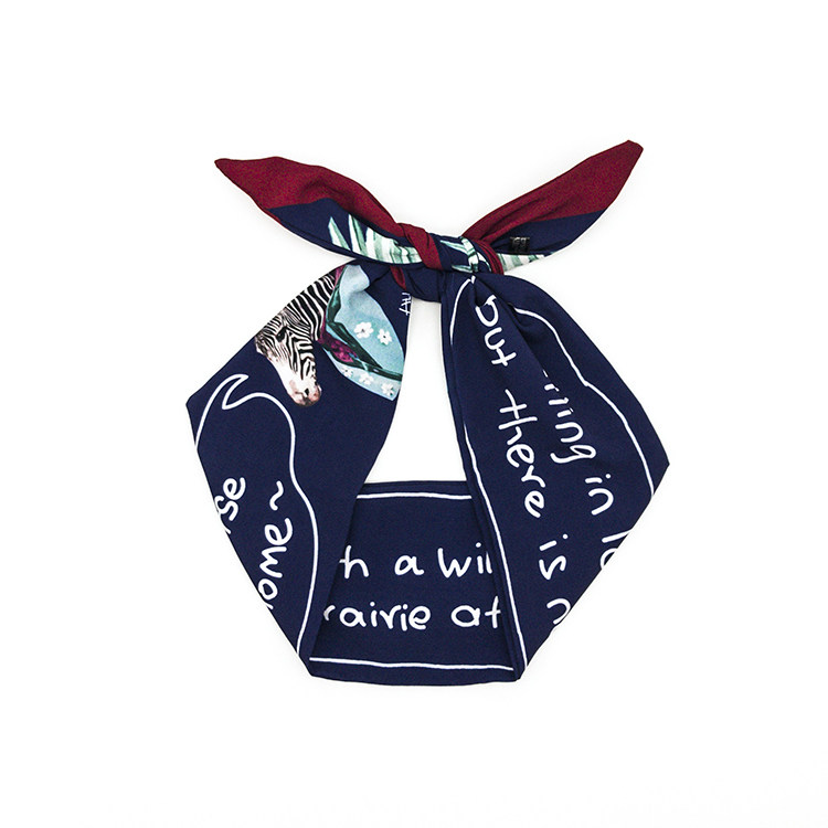 Retro Rabbit Ear Headband Iron Wire European and American Wide Versatile Trendy Headband Headband Holiday Fashion Small Scarf Silk Scarf