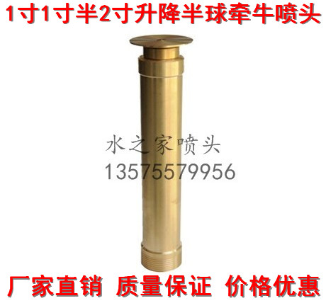 Manufacturer direct sales 1 inch 1 inch and half 2 inch lift Bull Flower Fountain Nozzle lift Hemisphere Mushroom Fountain Nozzle