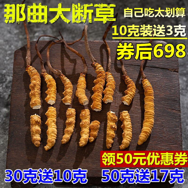 (10 gr Loaded Gift 3 gr) Tibet Nagqu Caterpillar Fungus Head Period Fresh Caterpillar Fungus Broken Grass Dry Goods Gift Box 