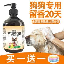 New pooch body lotion to kill mites to itch teddy bath liquid gold with mullet pet balm body odor bath lotion