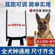 Net red dog ear artifact German Mu ear ear device special dog ear correction Dubin horse dog ear special puppy