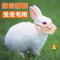 New Rabbit anti-bite muzzle headgear Hooded Rabbit anti-biting Divine Objects Mouth 6 Subjuts of Dwarf Ears 9 Confucians 9 879 879 Anti -