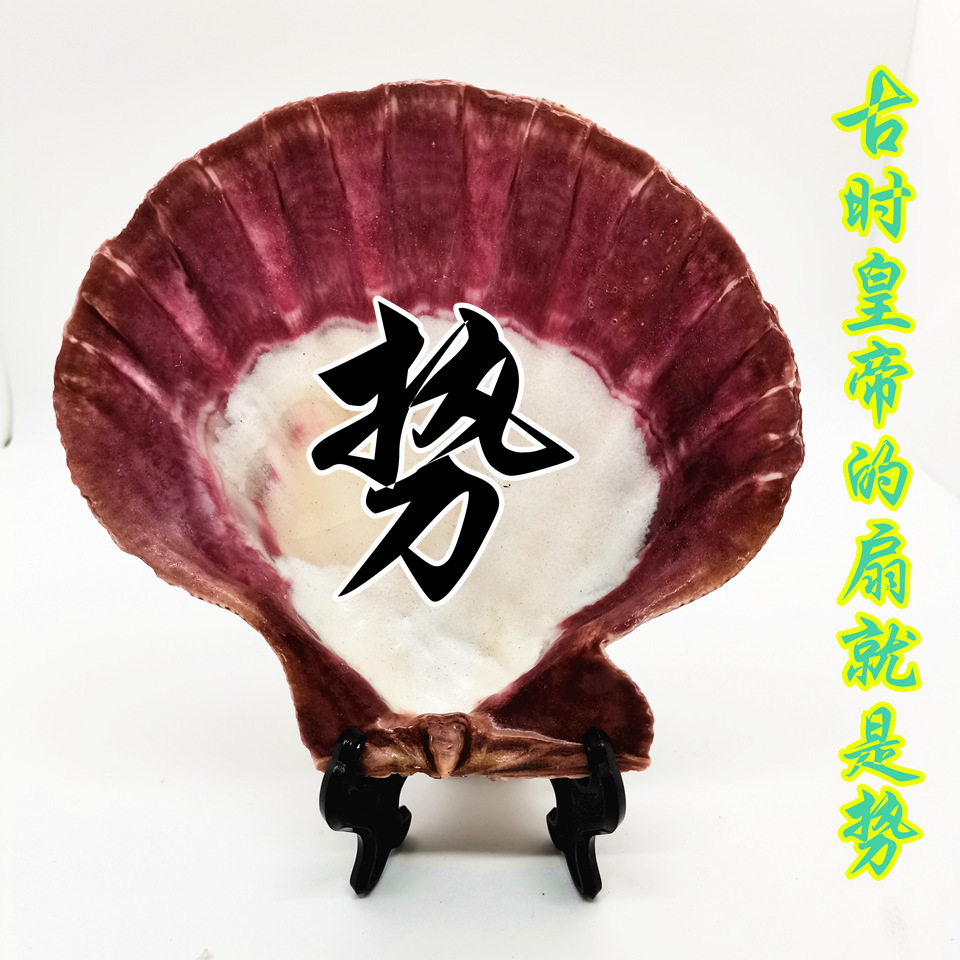 兴达贝壳的LOGO