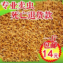 Fresh-keeping small bag bread worms live insects turtles spicy fresh water nutrition red dragon fish free mail feed bulk high protein