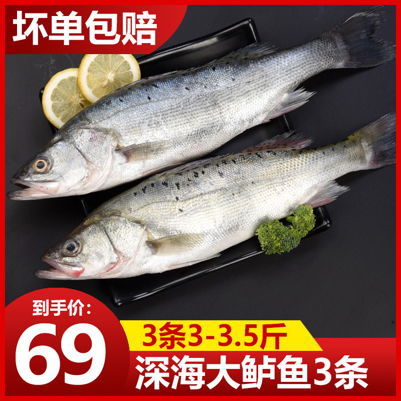 Fresh Sea Catch Bass Seafood Seafood Fresh frozen bass extra-large Grade Seven Star bass with open back deep-sea fish Shunfeng