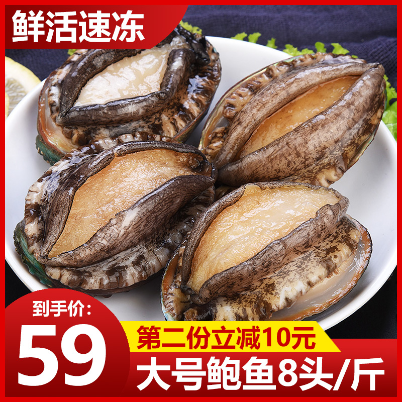 Wild fresh great abalone 8 head catfish frozen small abalone fish seafood Aquatic frozen Buddha Jumping Wall Large Basin Dish