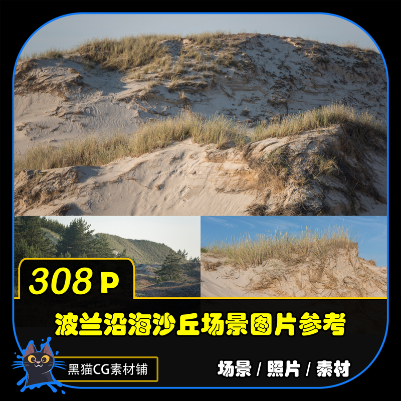 Polish Leba Coastal Dunes High-Definition Scene Reference Image Material for Art Painting, Game Design, and Photo Copying