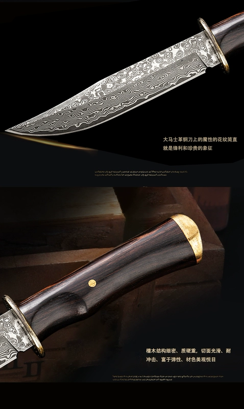 Sói Damascus thép ngoài trời dao sắc bén trường cầm tay sinh tồn dao thẳng dao có lưỡi dao quân sự tự vệ - Công cụ Knift / công cụ đa mục đích