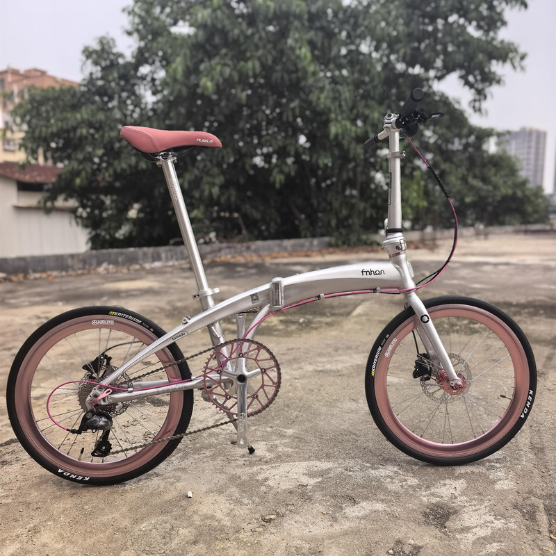 2026 Fnhon Fengxing Dg2018 Dolphin Folding Bike Ultra-Light 9-Speed 10-Speed Disc Brake Aluminum Alloy High Rigidity