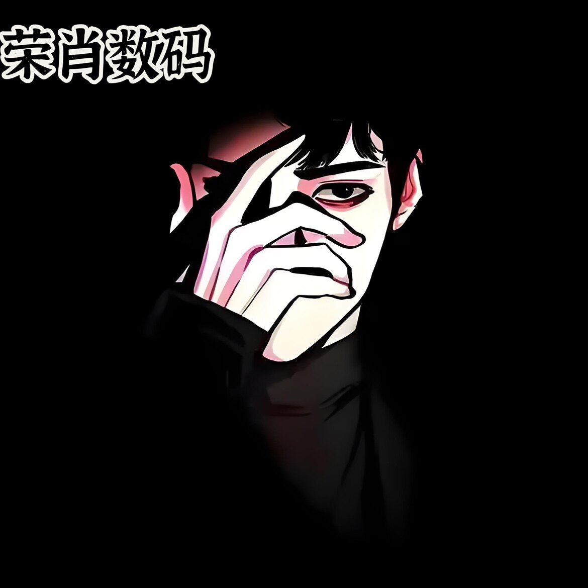 荣肖数码