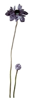 Su thêu thêu kit tự làm người mới bắt đầu vẽ tranh trang trí hoa sen tím 20 * 60CM khăn thêu