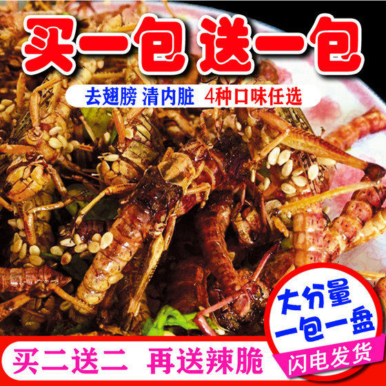 Freshly fried crispy grasshoppers ready-to-eat locusts barbecue snacks snacks insects grasshoppers gourmet food