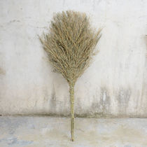 Conspiracy to make 23 sanitation sweeping sweeping the outdoors with widened sweeping yard broom bamboo broom bamboo broom bamboo sweep (custom-made) 7