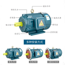 YX3 YE2 YE3-160L 180M 180L 200L 225M 250M-2 4 6 ac copper motor