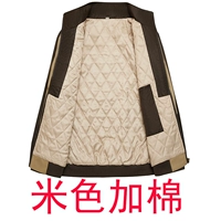 Beige Plus Hotton One Top Top