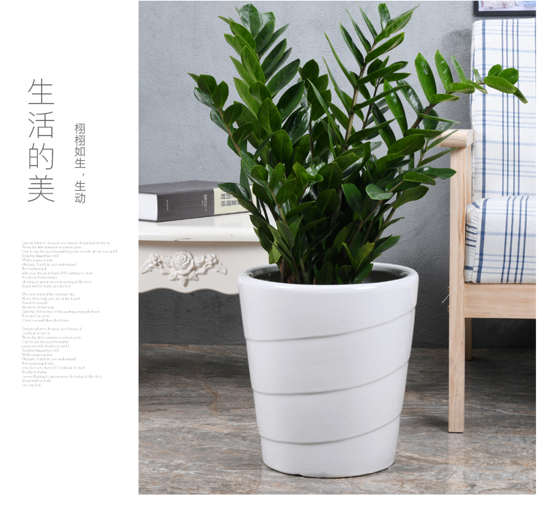 I and contracted flowerpot ceramic extra large wholesale green plant rich tree garden flowerpot pack mail that occupy the home office