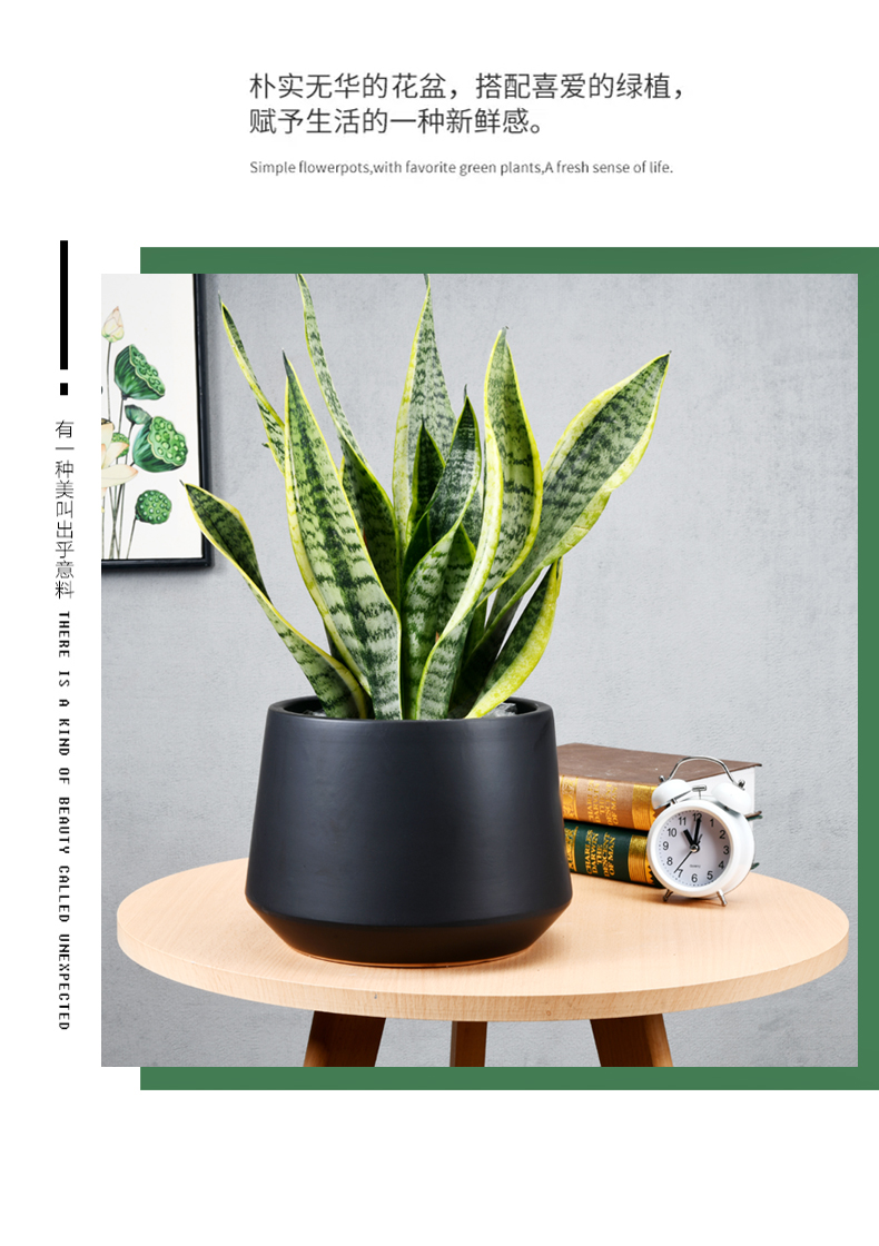 Geometric flowerpot ceramic oversized bag mail European contracted desktop money plant flower pot FaYa polychromatic light easy collocation