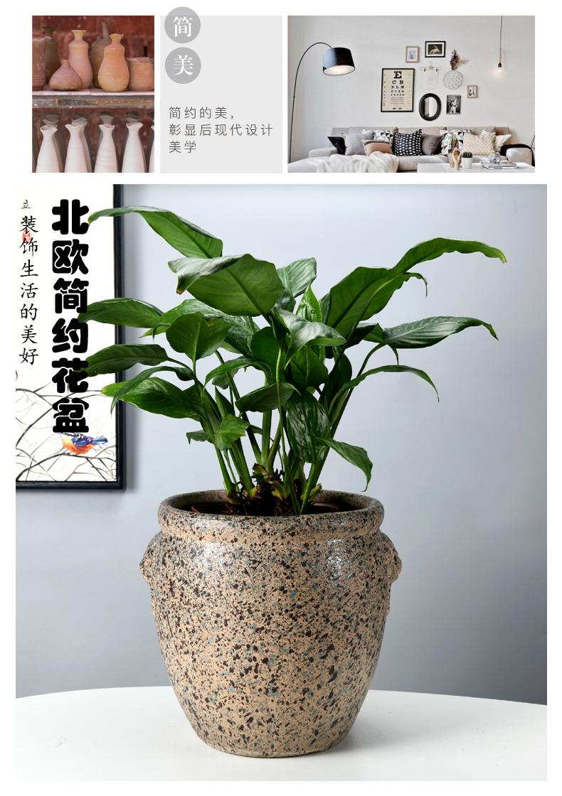 In ceramic flower POTS of meat contracted sitting room, miniascape of high - grade banyan basin old running the flowerpot oversized bag mail green plant