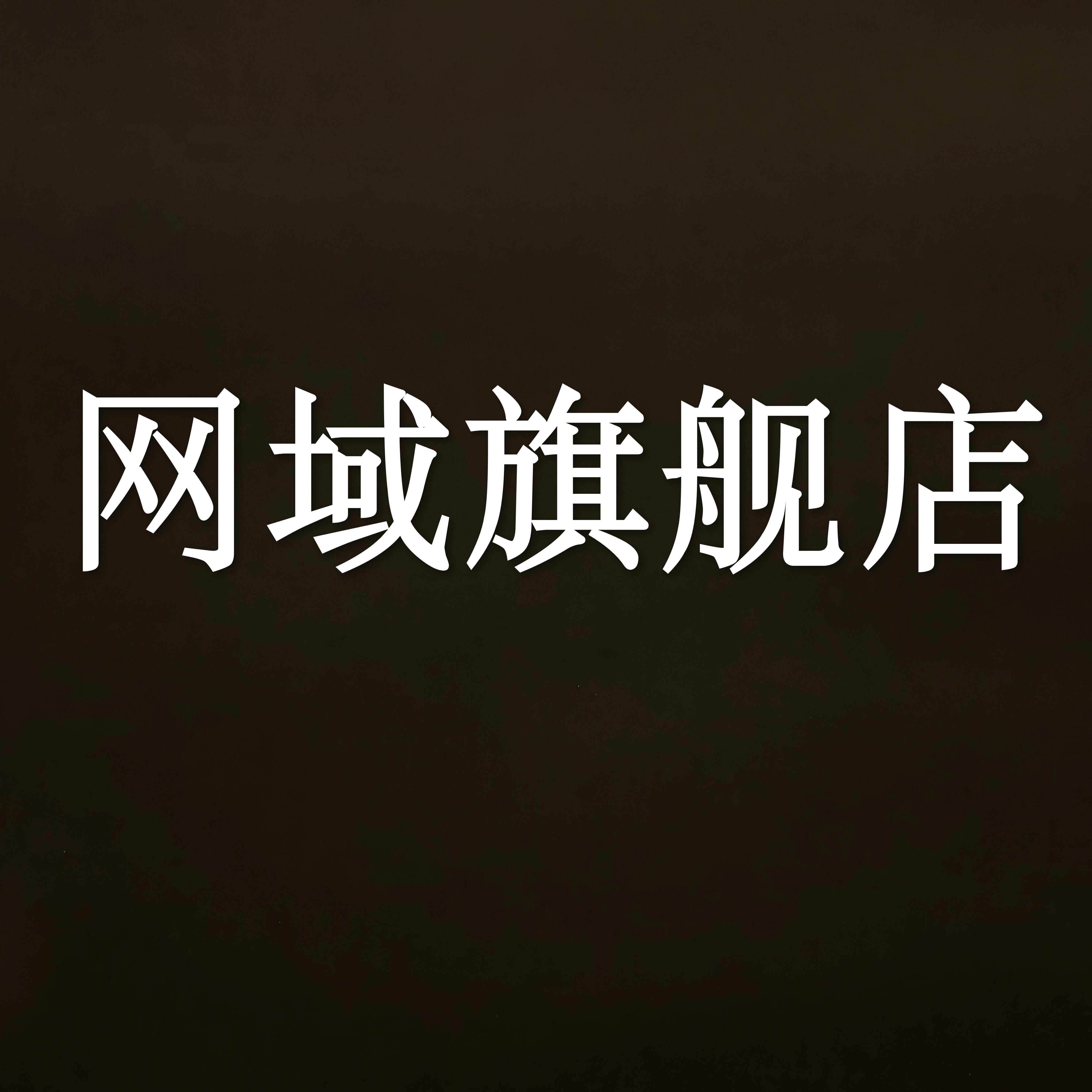 网域旗舰店