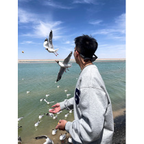 SANBAI Sanbai autumn original casual sweater mens 420g American letter towel embroidered top loose clothes