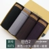 Jindu mùa xuân và mùa hè mới cotton đồ lót nam võ sĩ nam vải cotton bốn điểm quần đầu lớn đồ lót đầu - Vòng eo thấp Vòng eo thấp