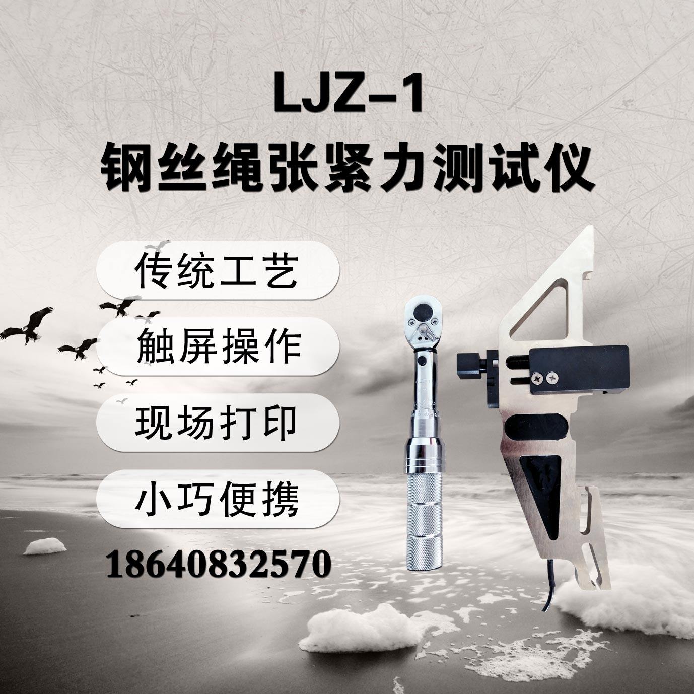 大连徕特LJZ-1钢丝绳张紧力测试仪钢丝绳张力测试仪张紧力检测仪