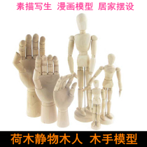 12-inch comic tool wooden model puppet man wooden joint doll sketch model Lotus still life wooden hand