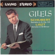 Gilles Schubert 17th D850 Liszt piano sonata in b minor