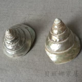 贝丽娜 Прямые продажи с фабрики, натуральные подковообразные ракушки, креативные украшения для домашнего офиса, аквариума, ландшафтные украшения, ремесленные украшения