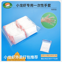  Disposable food hygiene gloves PE film gloves Beauty gloves