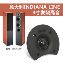 4-inch alt horn Italy Indiana Line silk film speaker unit HIFI hair burning grade neodymium magnetic