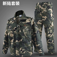 Высококачественный новый набор земли (один набор)