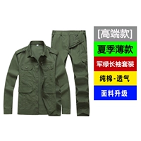 Элитный летний тонкий лонгслив, нарукавники, хлопковый дышащий комплект