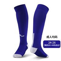 Treasure Blue Adult 40-46 Foot Code 3105PW2069