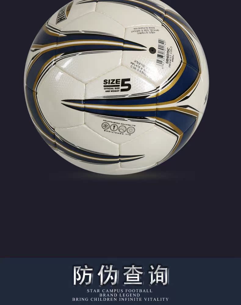 Ballon de football - Ref 5275 Image 16