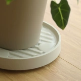 Можно двигаться без душных корней, высокой стоимости лица, дышащих, противоречивых корней, роликов, комнаты с круглым направлением, круглая зеленая посадочная основа поддона