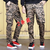 Камуфляжная пустыня, трехмерные штаны, 2 шт.