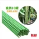 Cột hoa cố định, hoa hồng, gậy buộc, giá đỡ hoa, cây nho, củ cải xanh, hoa hồng, khung leo trong nhà, dụng cụ làm vườn vòi phun tưới rau cầm tay