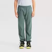 Зеленый лес