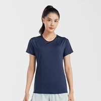 Тибетская модель синего обновления